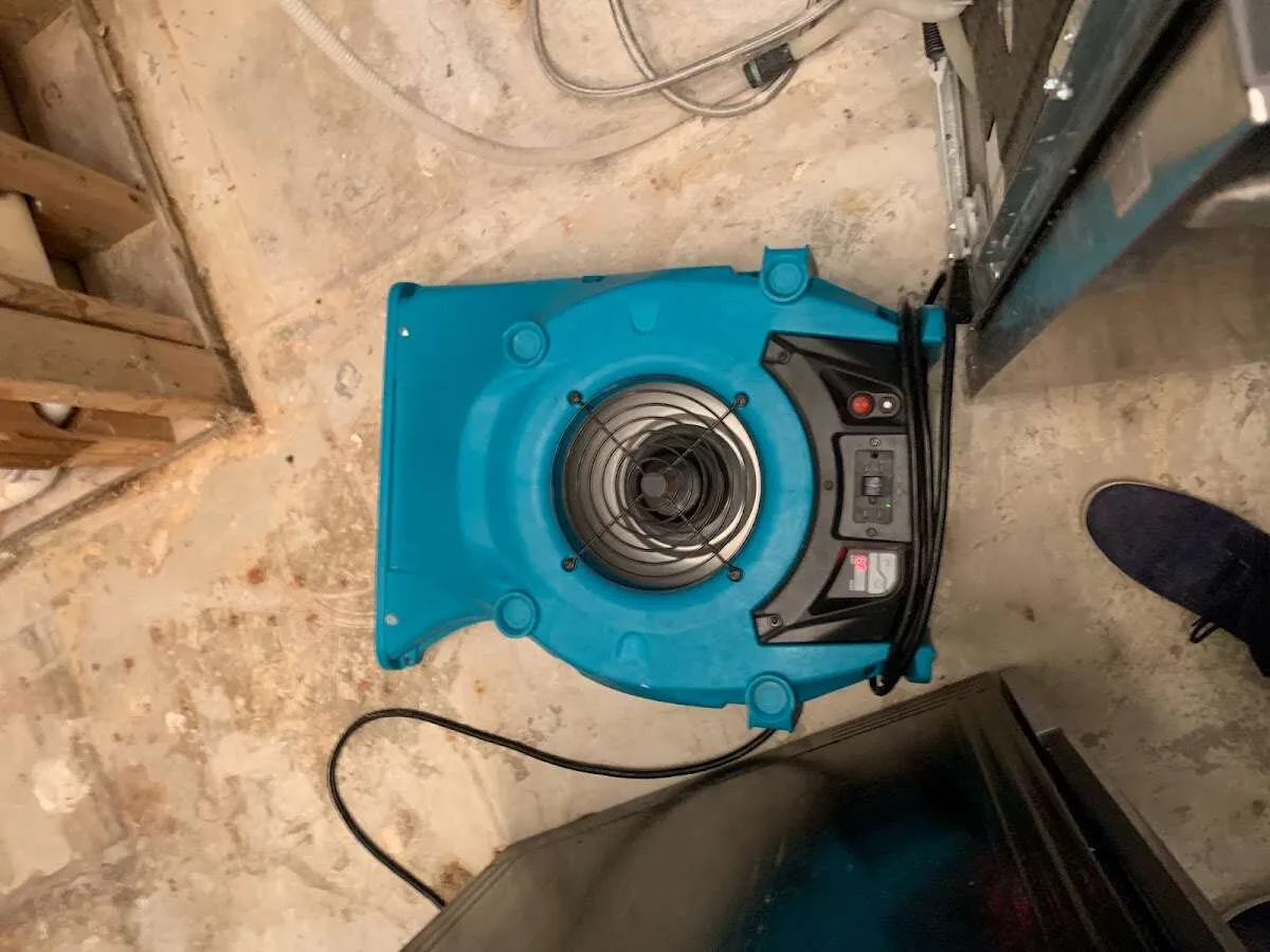 Air mover drying equipment for Mold Remediation & Removal in Adrian